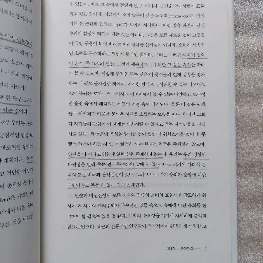 디오니소스의 그림자 광란의 사회학을 위하여 중고책 서적