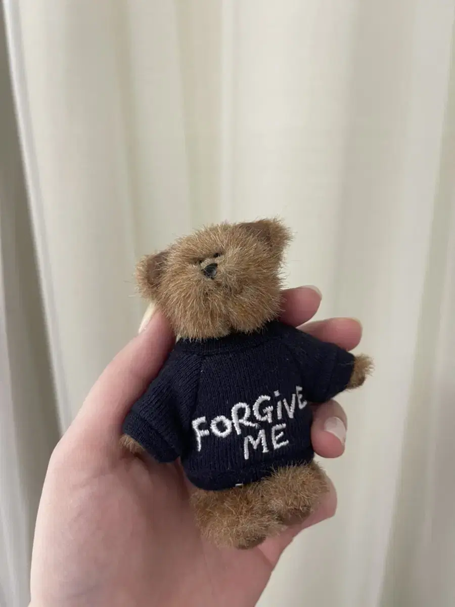 보이즈베어 쪼꼬미 forgive me