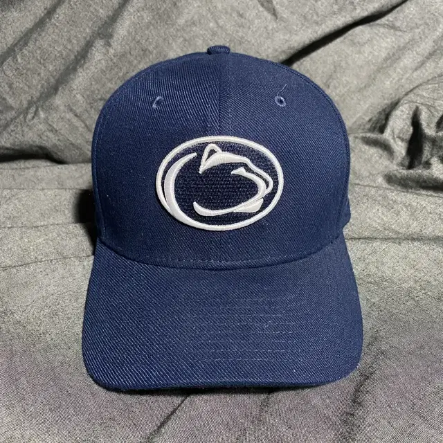 NIKE DRI-FIT Nittany Lions Hat Sz Flex