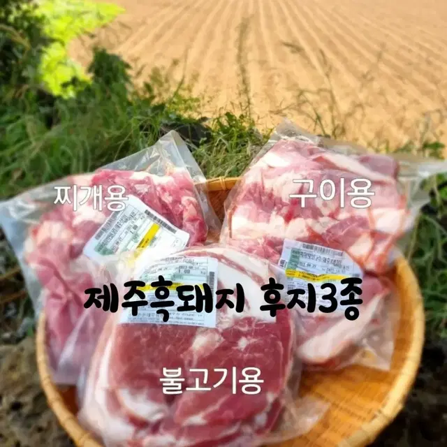 제주흑돼지