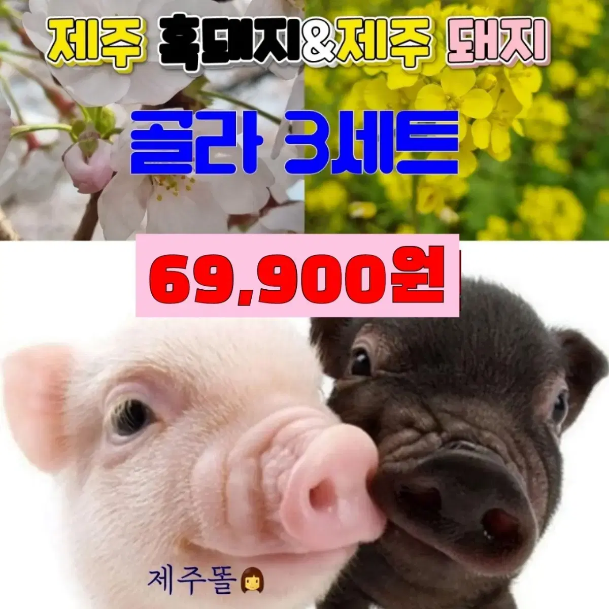 제주흑돼지