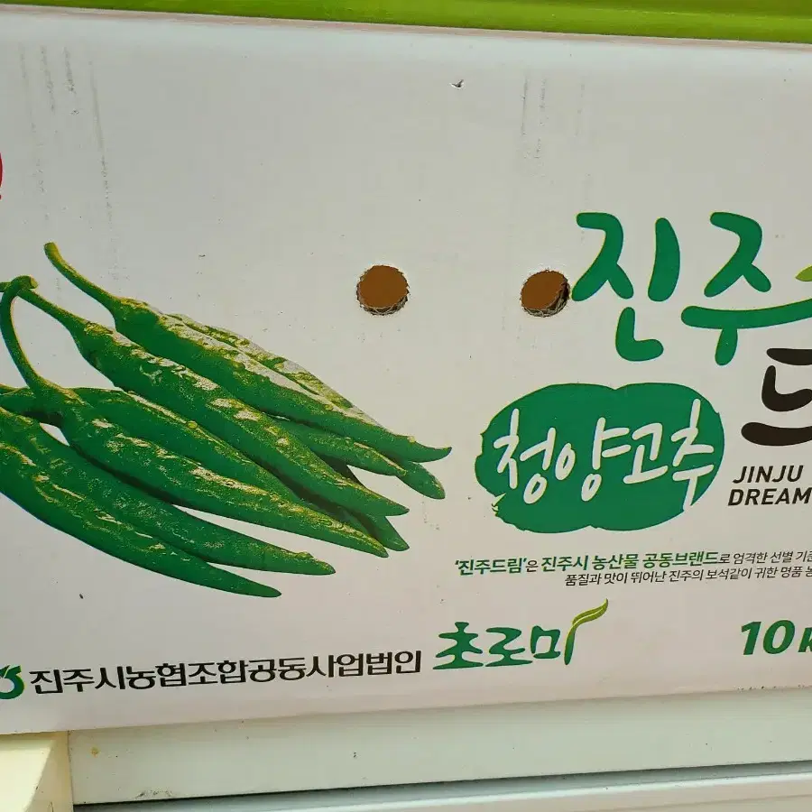 딸부자네] 더 매운 청양장아찌 1kg/11.500