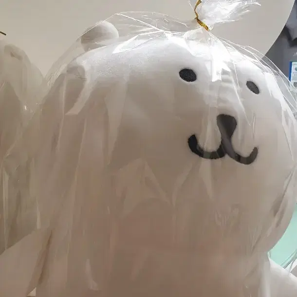 농담곰  25cm 중형 새상품 