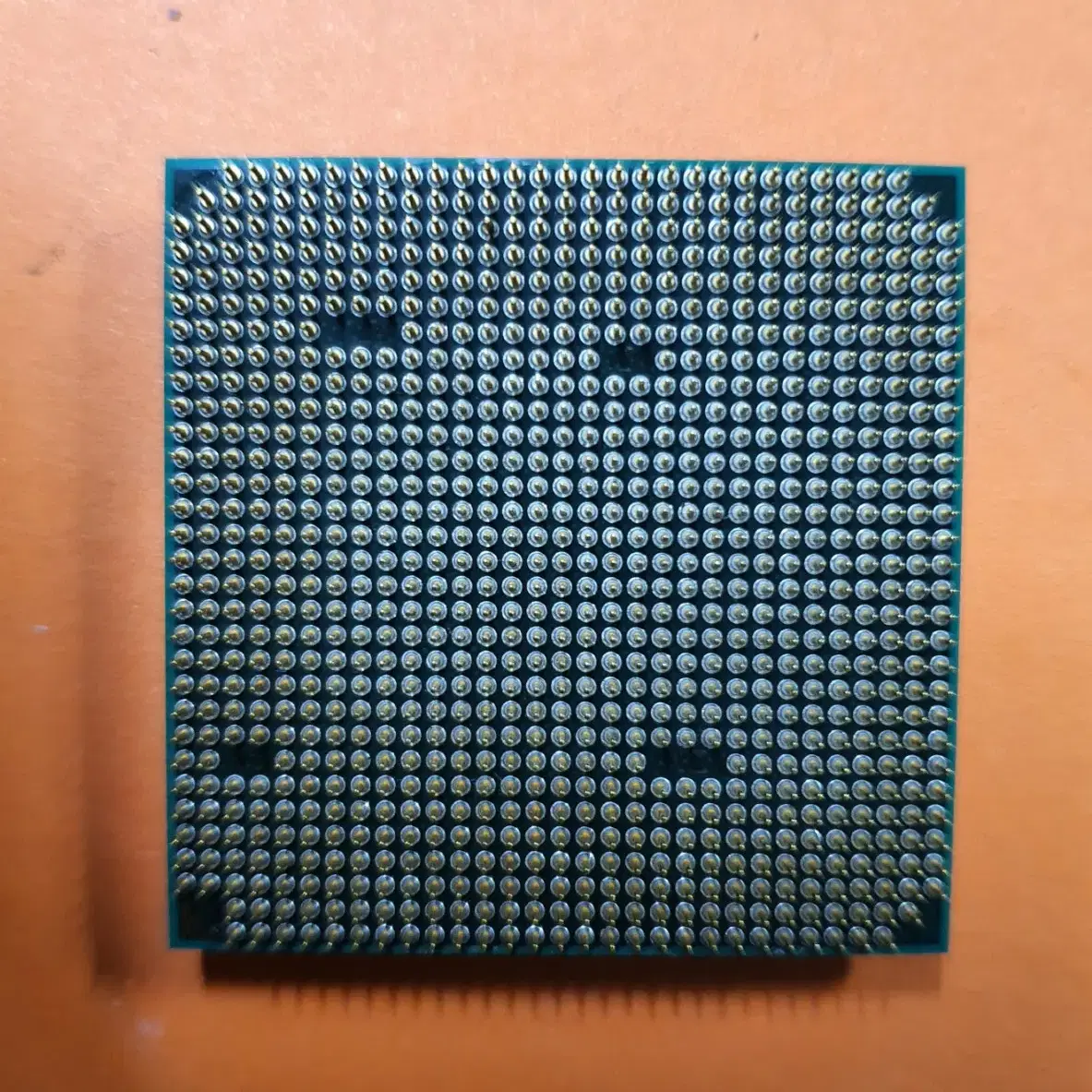 AMD 애슬론II-X2 245, 250 ( 레고르250 )/  AM3소켓