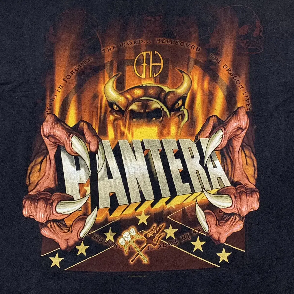 2000s Pantera 판테라 밴드 빈티지 티셔츠