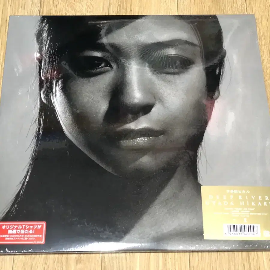 우타다 히카루(Utada Hikaru) 3집 Deep River LP