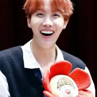 BTS 방탄 방탄소년단 제이홉 호석 솜인형 20CM