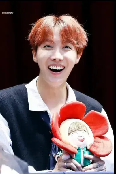 BTS 방탄 방탄소년단 제이홉 호석 솜인형 20CM