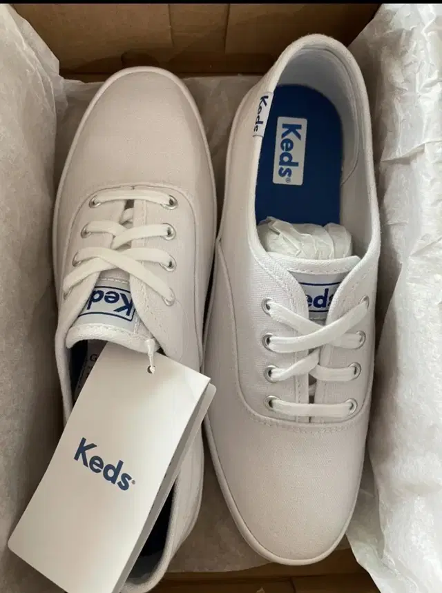 keds 챔피온 캔버스 화이트(미착용 새재품)