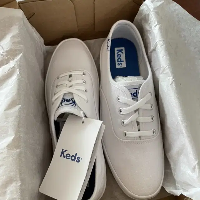 keds 챔피온 캔버스 화이트(미착용 새재품)