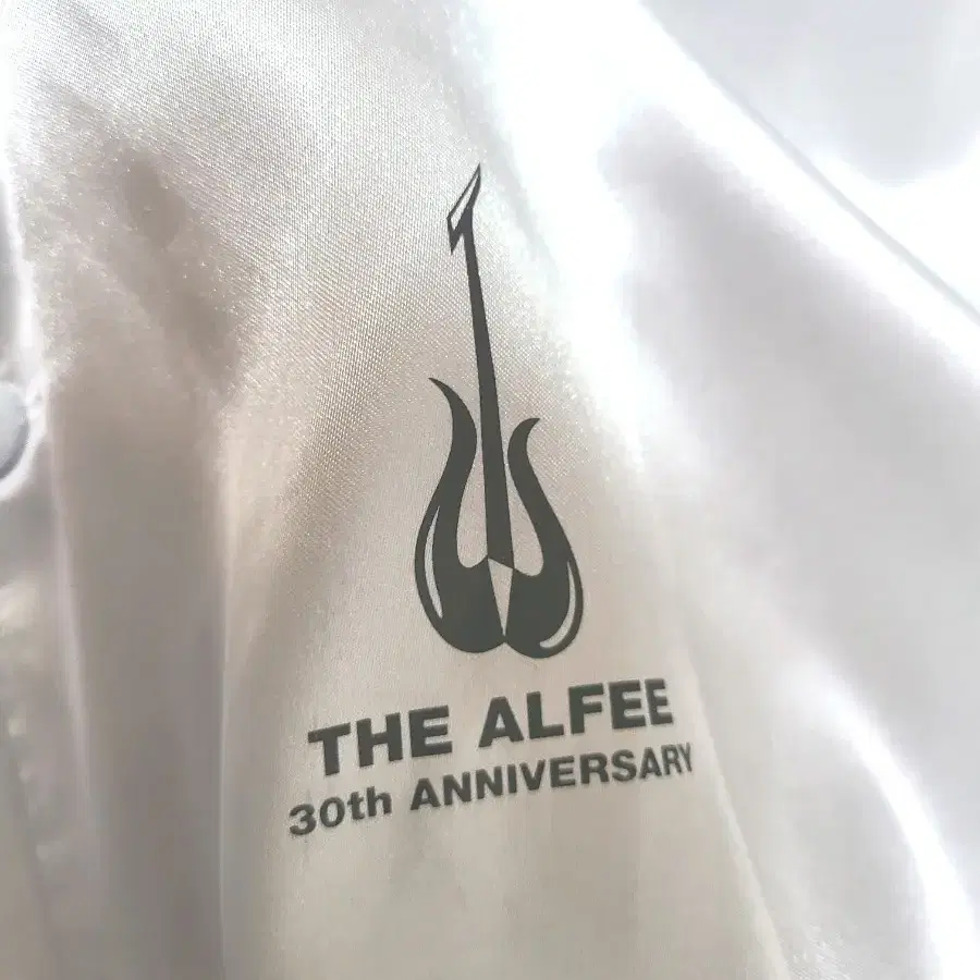 THE ALFEE 30주년 자켓