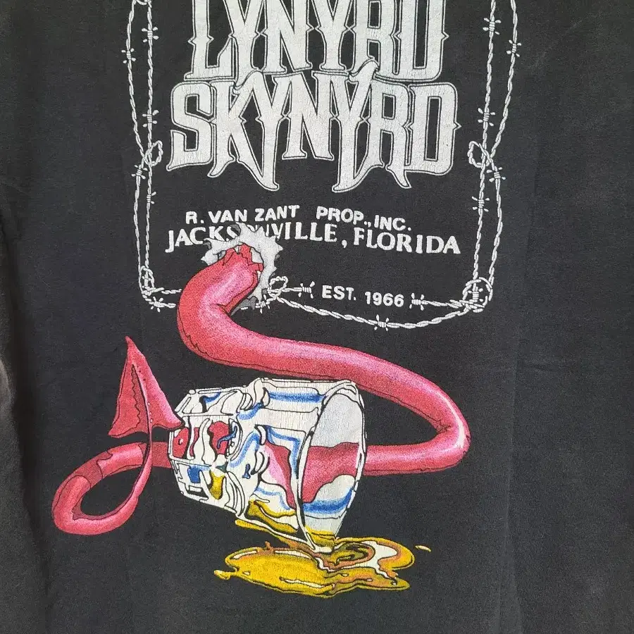 hanes lynyrd skynyrd 레너드 스키나드 vtg 빈티지