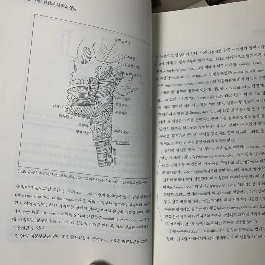 한방백과작업치료전공책평가도구학회지삼킴장애연하곤란아동발달언어장애보조기병리학