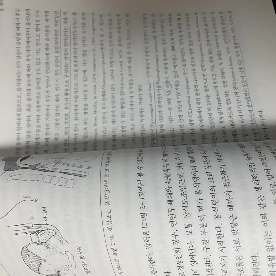 한방백과작업치료전공책평가도구학회지삼킴장애연하곤란아동발달언어장애보조기병리학