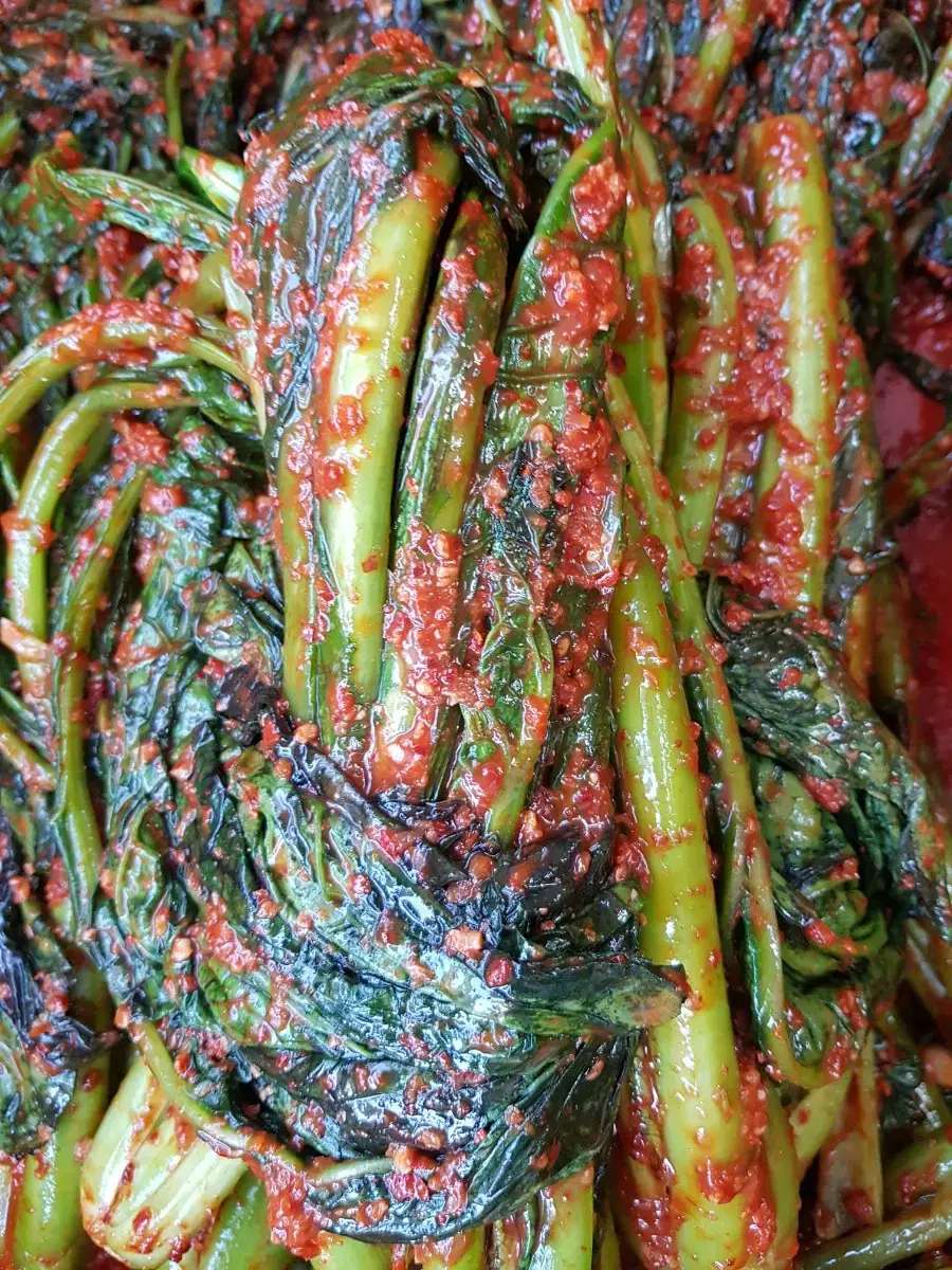 Daeboojane] 1 kg of savory Dolsan kimchi