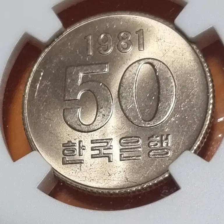 특년도 1981년도 50주 10주 2종 세트