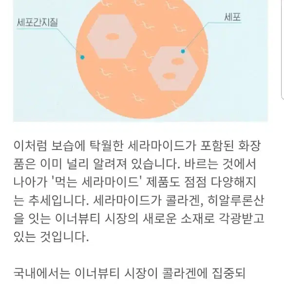 밀크세라마이드