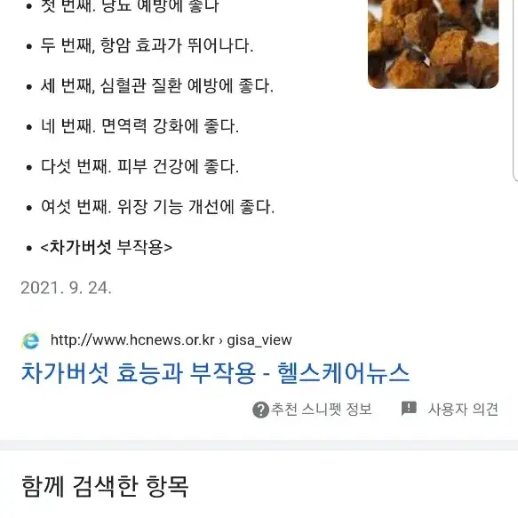 차가버섯분말