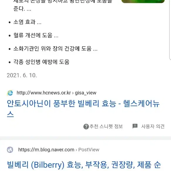 빌베리농축분말