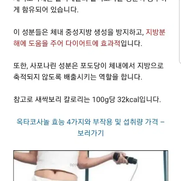 새싹보리분말