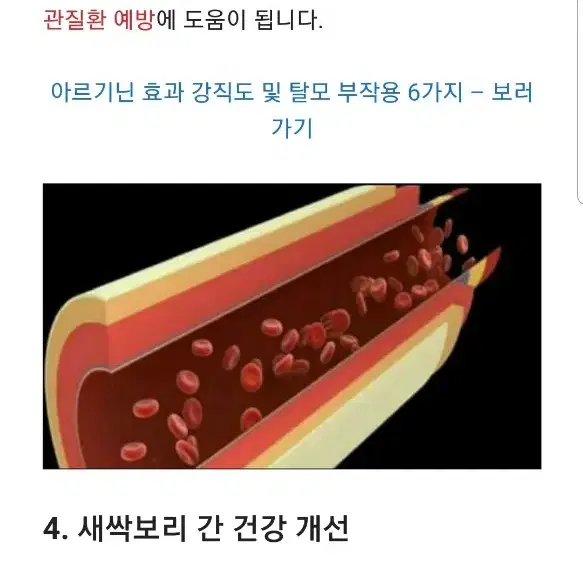 새싹보리분말