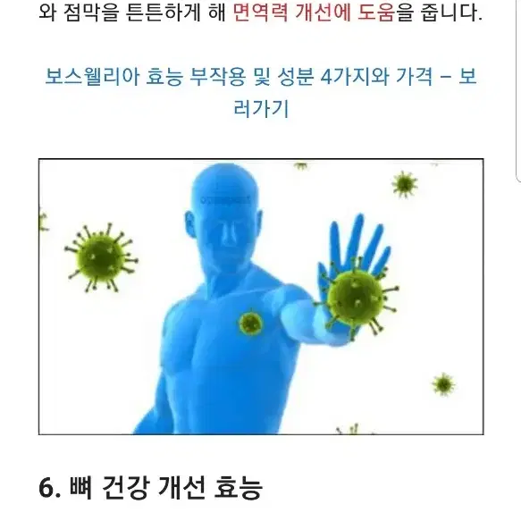 새싹보리분말