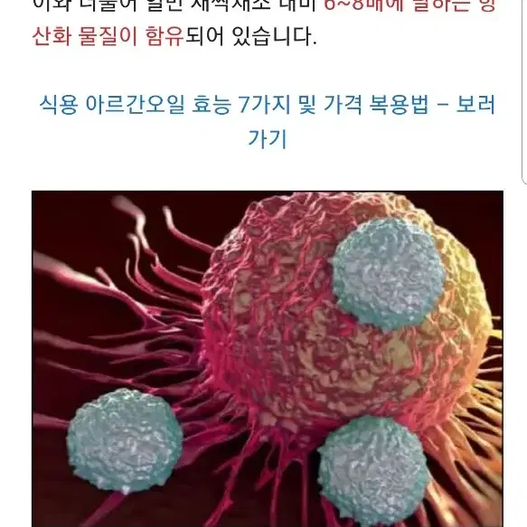 새싹보리분말