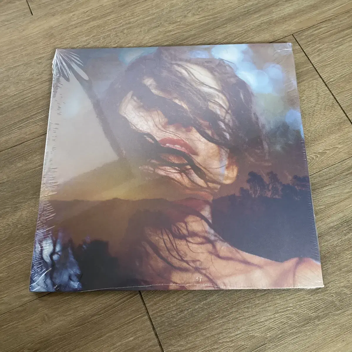 (미개봉) rhye home lp vinyl 라이 홈 엘피