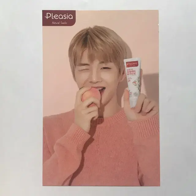 워너원 강다니엘 배진영 플레시아 엽서