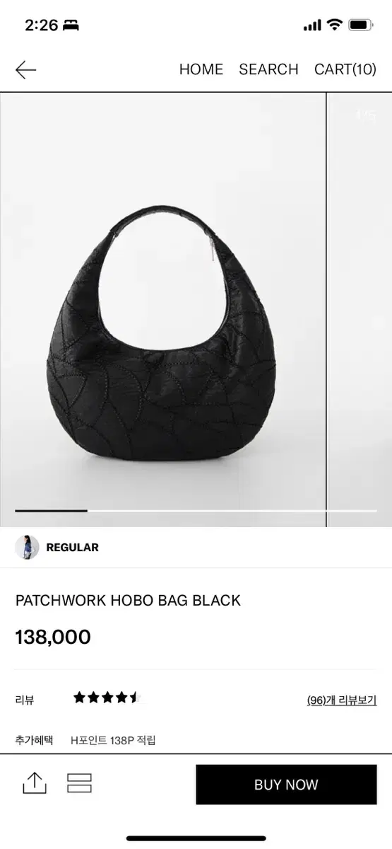 Regula Hobobag