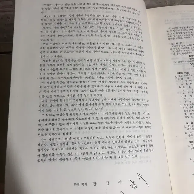 국어대사전(소장용)