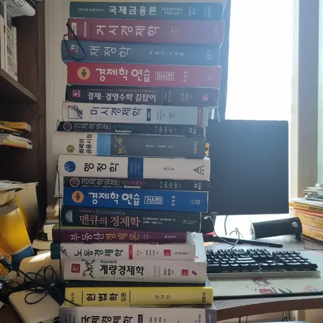 경제학, 행정학, 헌법학, 부동산경제론, 화폐와 금융시장, 재정학, 등