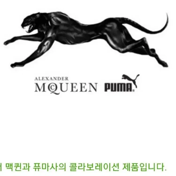 푸마 블랙스테이션 x 알렉산더맥퀸 run mid