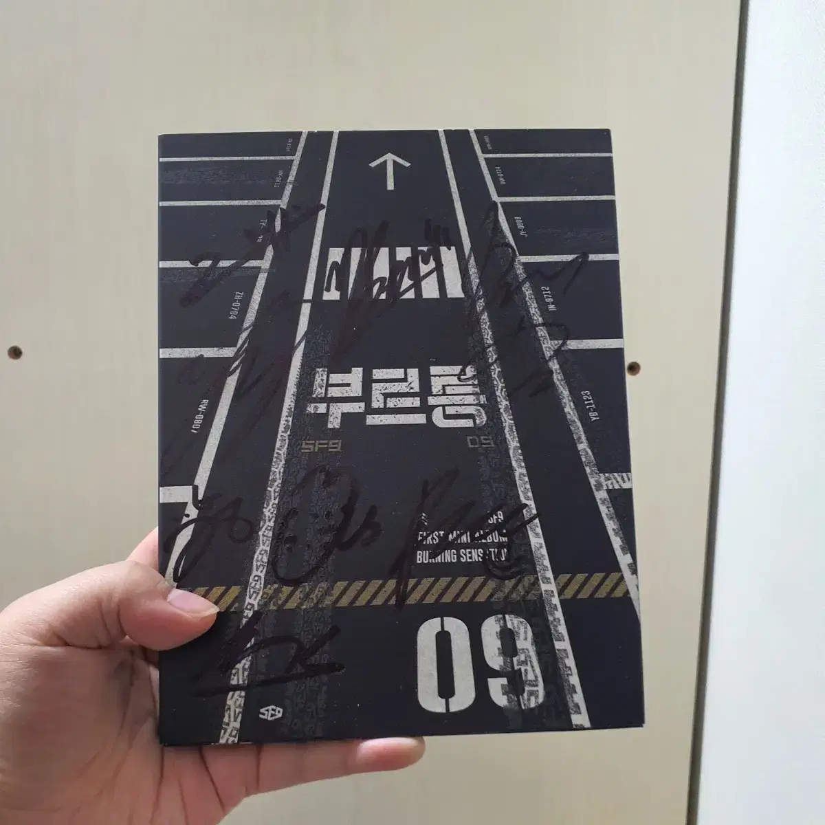 SF9 handwritten sign album