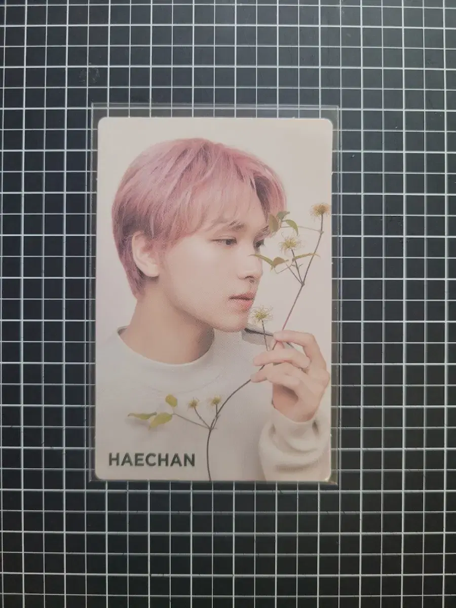 NCT 127 Nature Haechan