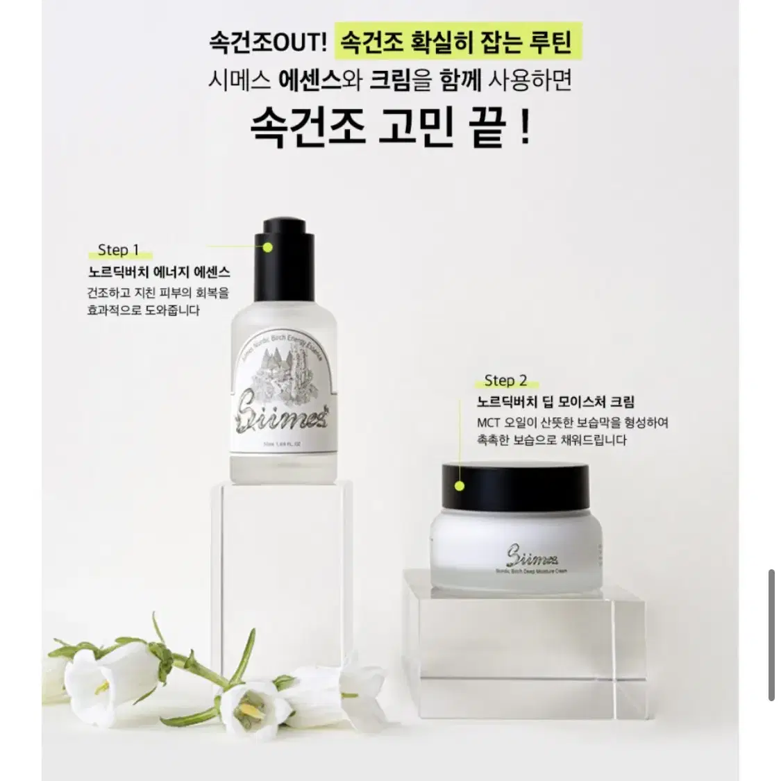 시메스 자작나무 노르딕버치 에너지 에센스 50ml