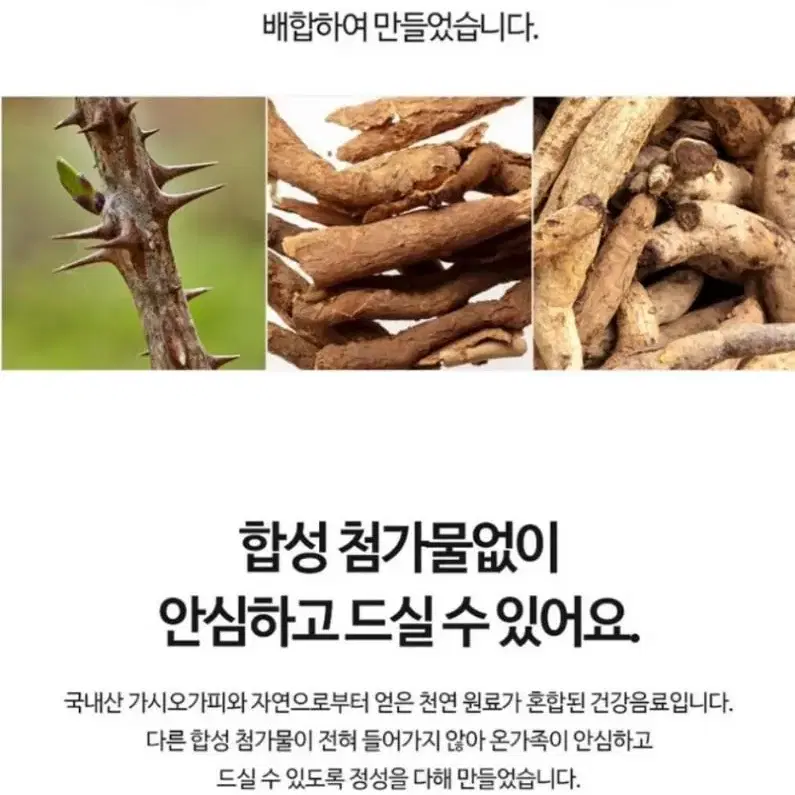 가시오가피 23000원 선물추천상품