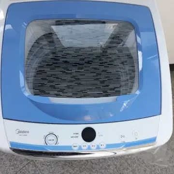 미니세탁기 브랜드 중고거래 플랫폼, 번개장터