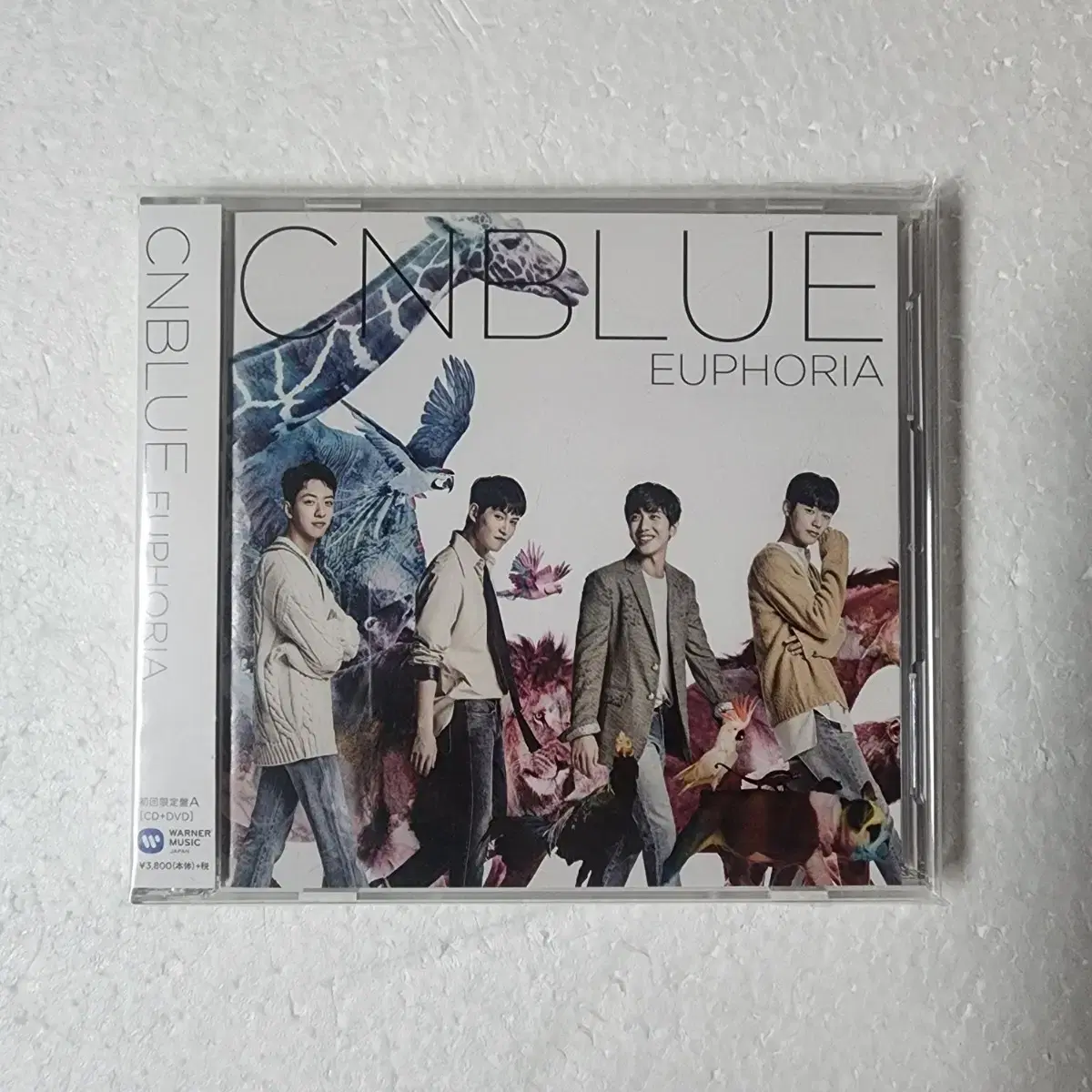 씨엔블루 CNBLUE EUPHORIA 한정반 A CD DVD 중고