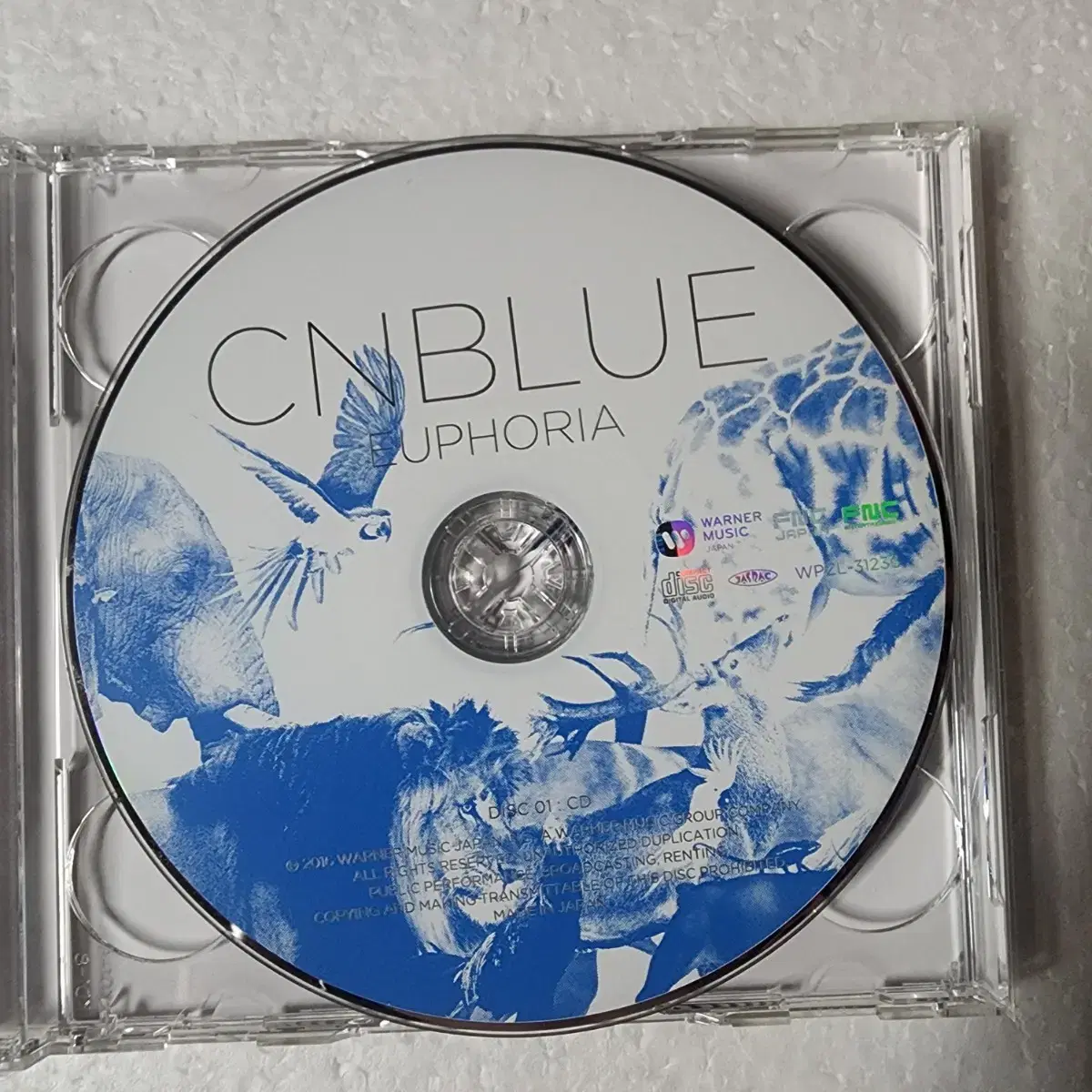 씨엔블루 CNBLUE EUPHORIA 한정반 A CD DVD 중고