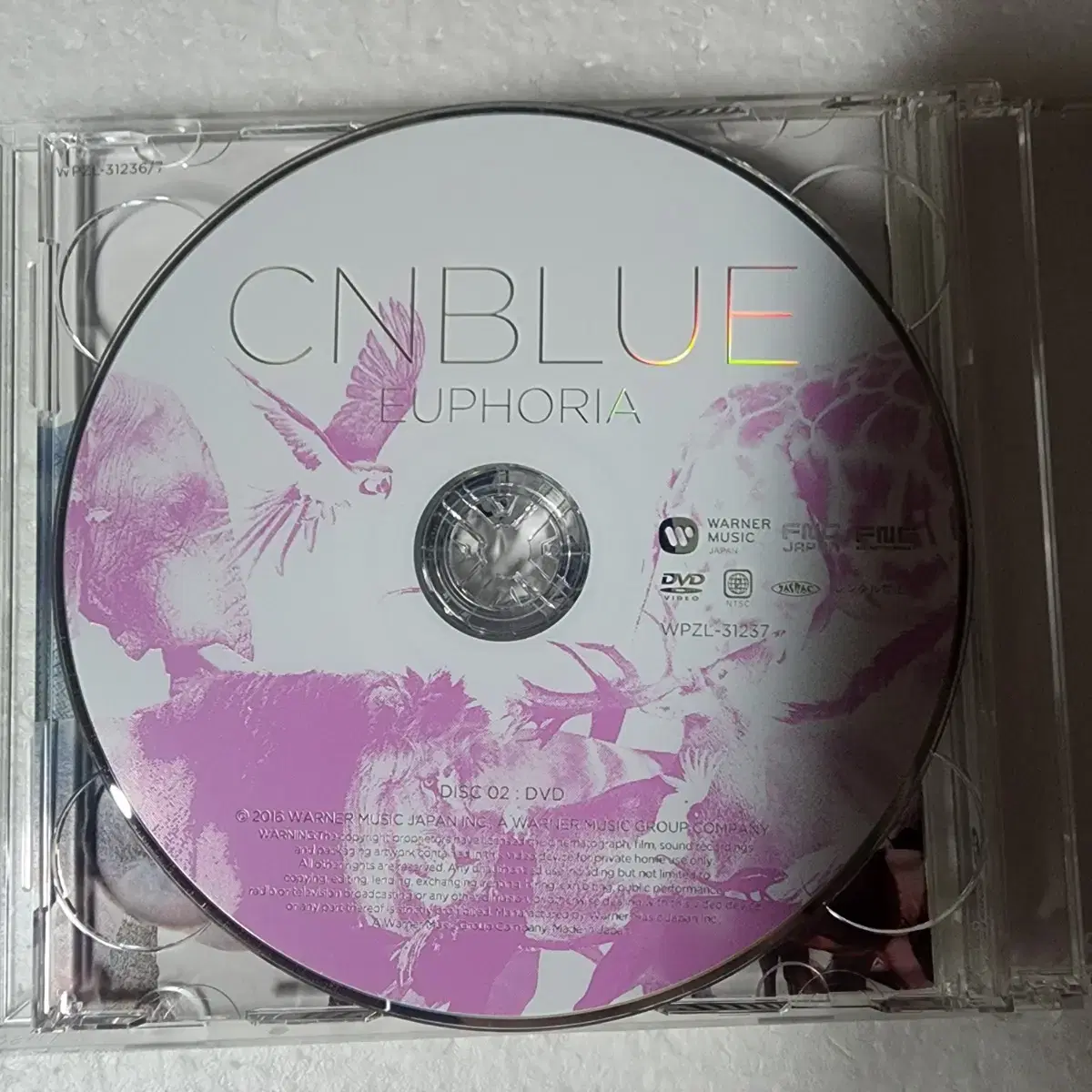 씨엔블루 CNBLUE EUPHORIA 한정반 A CD DVD 중고