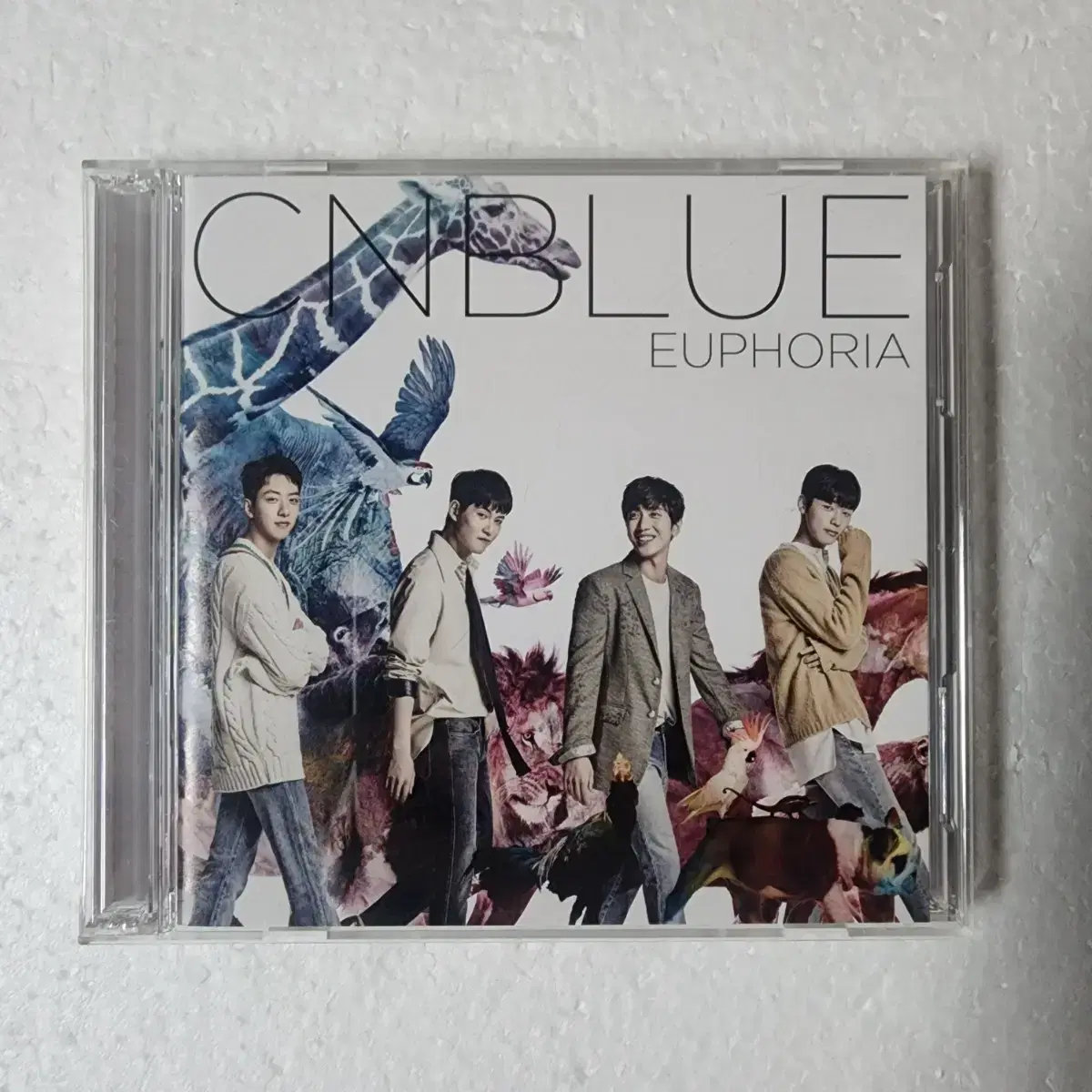 씨엔블루 CNBLUE EUPHORIA 한정반 A CD DVD 중고