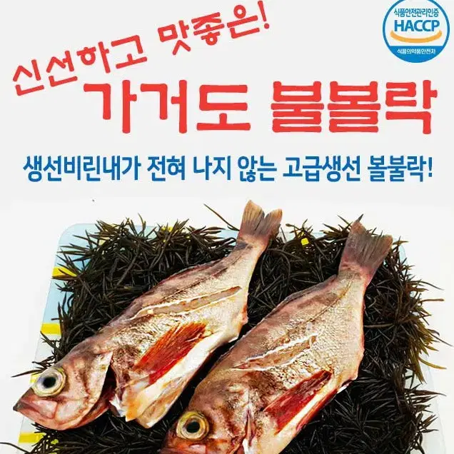 가거도 국내산 자연산 볼락 뽈락 생선 2마리세트 