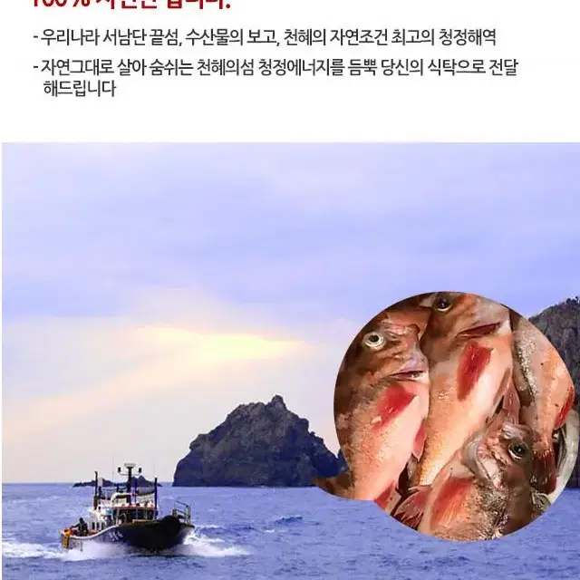 가거도 국내산 자연산 볼락 뽈락 생선 2마리세트 