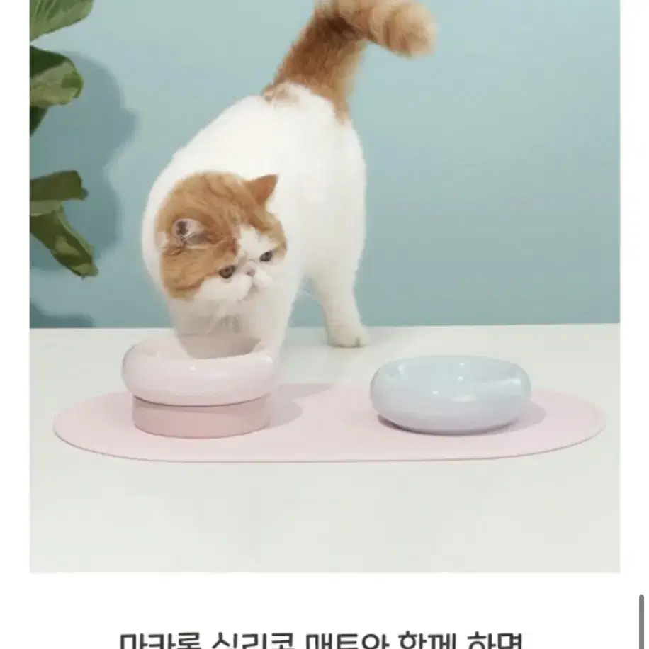 강아지 고양이 너무 예쁜 세라믹 밥그릇(새제품)