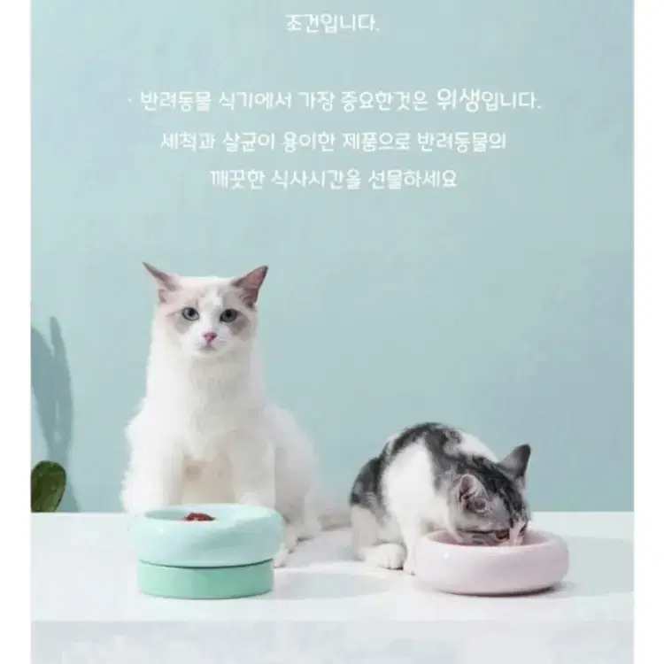 강아지 고양이 너무 예쁜 세라믹 밥그릇(새제품)