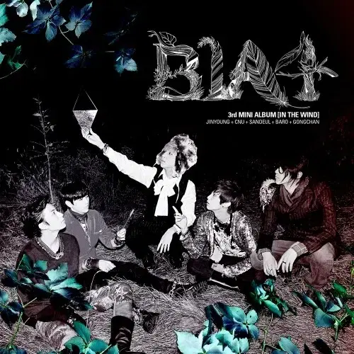 비원에이포 B1A4 In The Wind 앨범 시디 CD