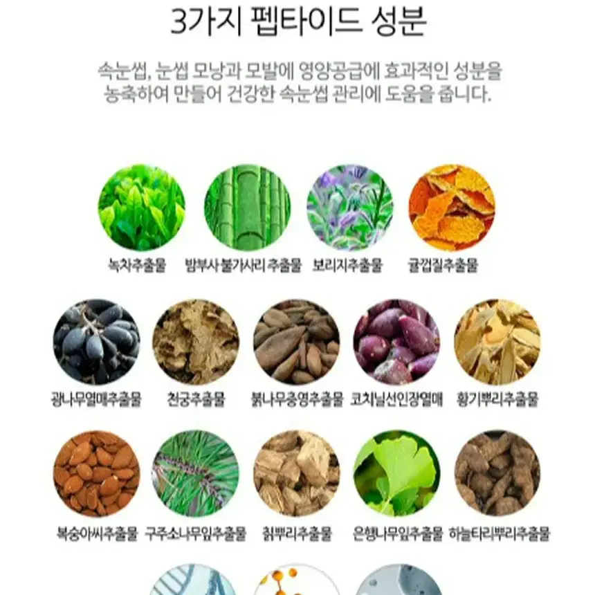 (가격문의)래쉬트리속눈썹영양제