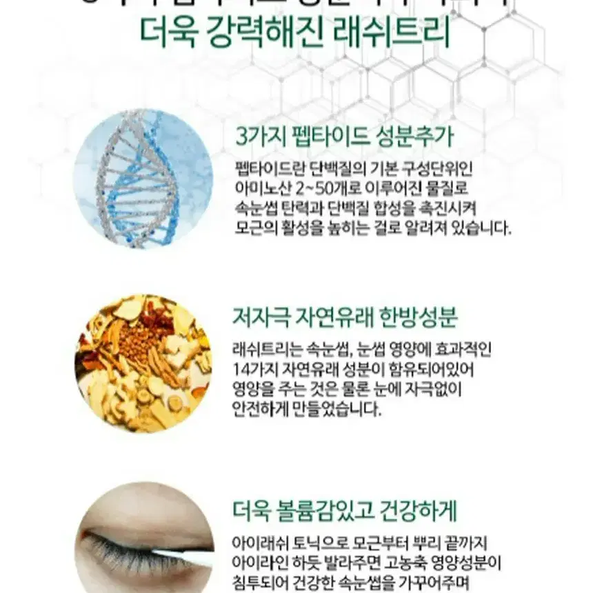 (가격문의)래쉬트리속눈썹영양제