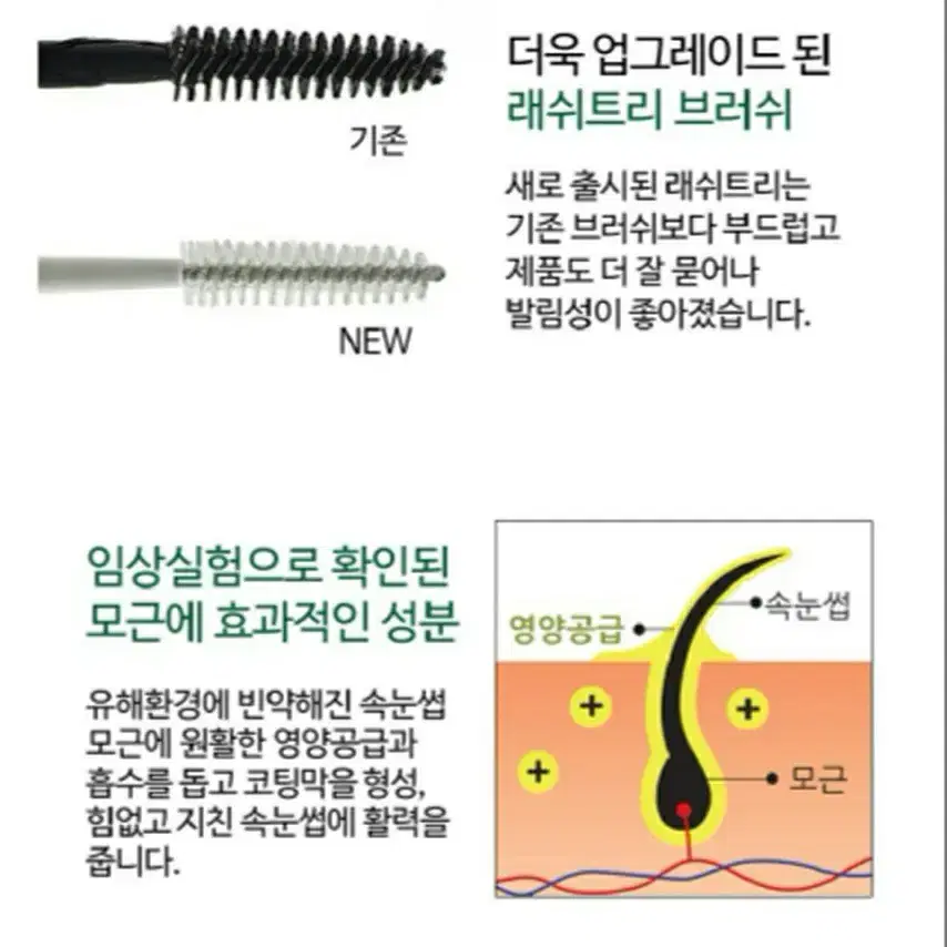 (가격문의)래쉬트리속눈썹영양제